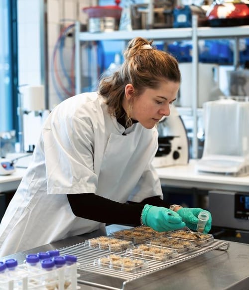 DTU Biosustain lab