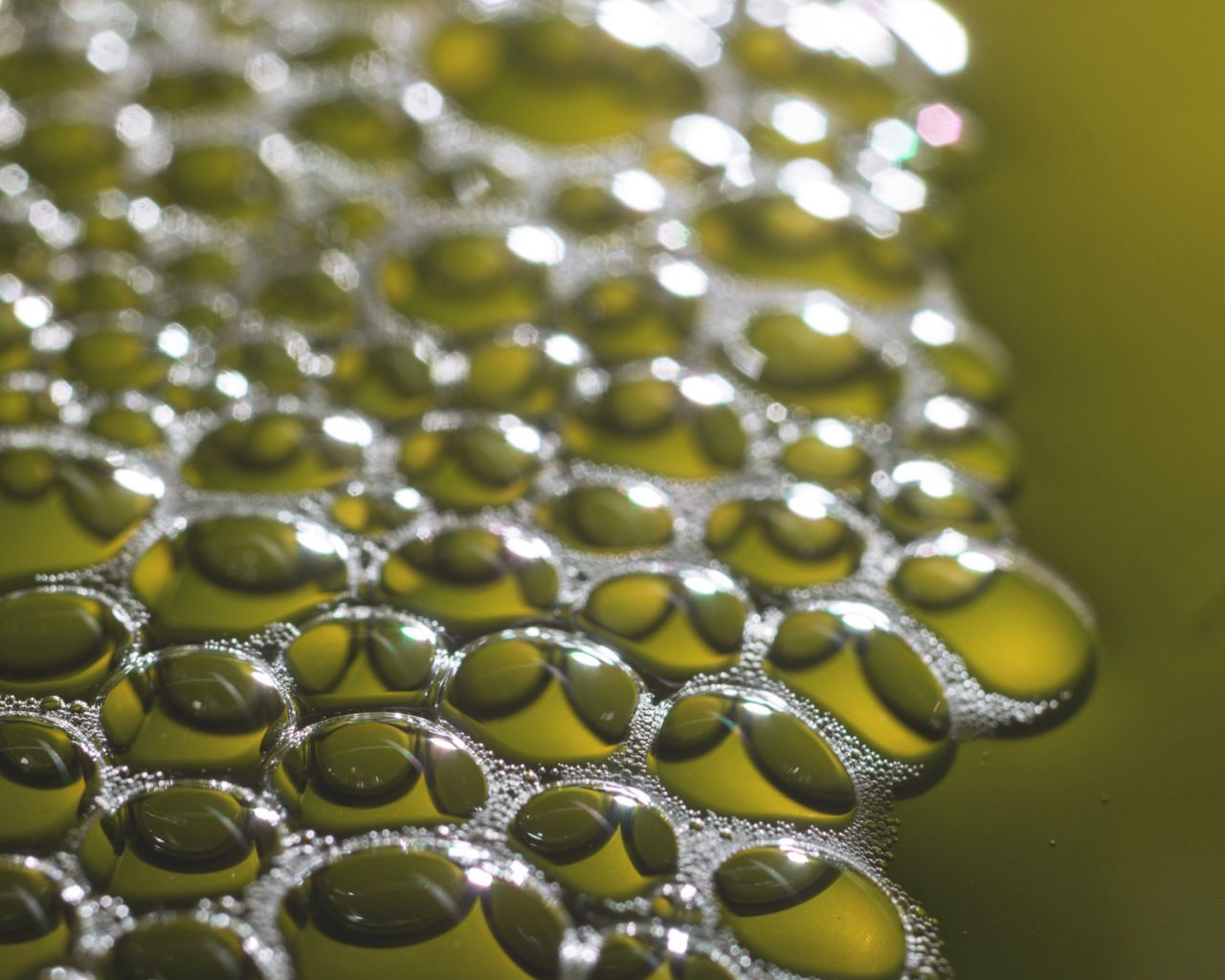 GCR_Medicon Valley_Algae factory_Image Bank Sweden_Sofia Sabel